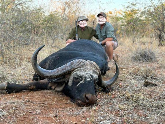 Buffalo hunting in Zimbabwe, 10 Days in Mateke Hills