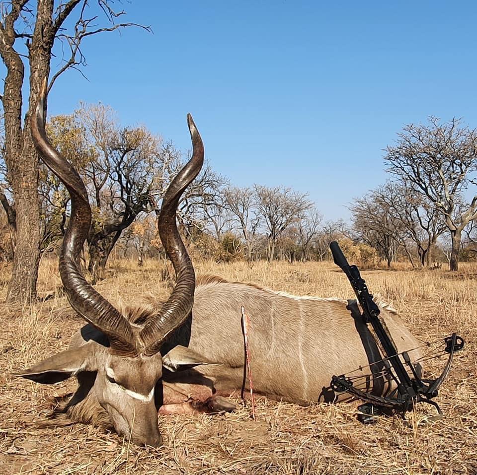 Wildebeest hunting and More in SA 10 days x 2 Hunters