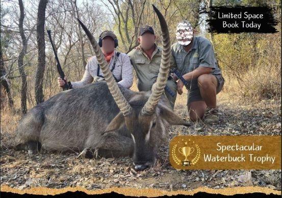 Leopard Hunting in Namibia & Brown Hyena Cancelation Hunt