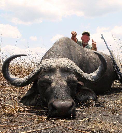 Cape Buffalo Hunt in the Famed Selous Reserve 2 x Hunters