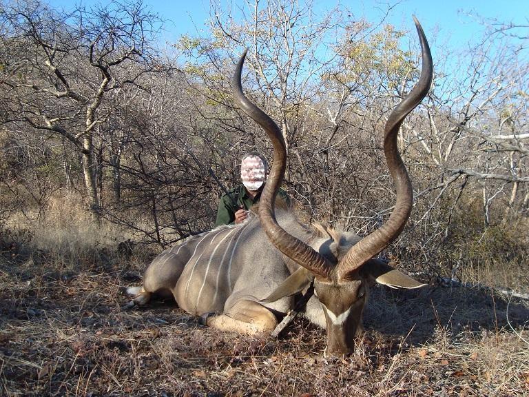 Trophy Plains Game Hunting in South Africa 6 x Species