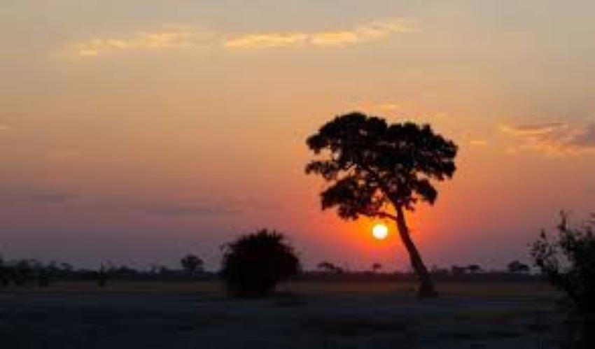 Leopard Hunting in Namibia & Brown Hyena Cancelation Hunt