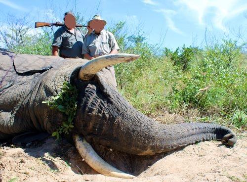 Leopard Hunting in Namibia & Brown Hyena Cancelation Hunt