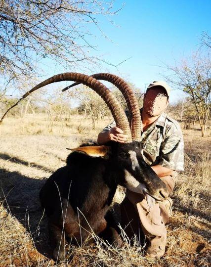 Trophy Sable Hunting plus 3 x Cull Species 7 Days in SA 