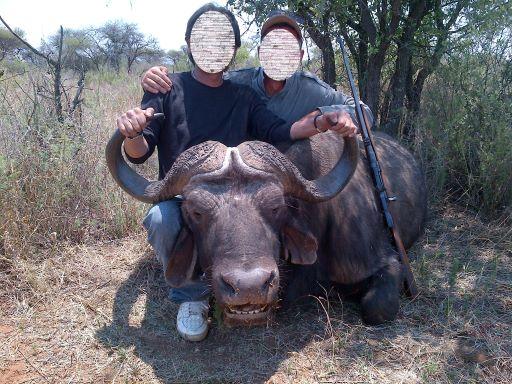 African Cape Buffalo Hunt, 7 days to hunt Africa’s Black Death