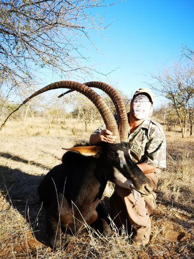 Hunting Safari in South Africa Sable & Roan Combination Hunt
