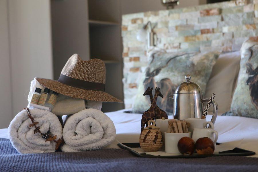 Leopard Hunting in Namibia & Brown Hyena Cancelation Hunt