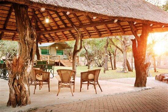 Leopard Hunting in Namibia & Brown Hyena Cancelation Hunt