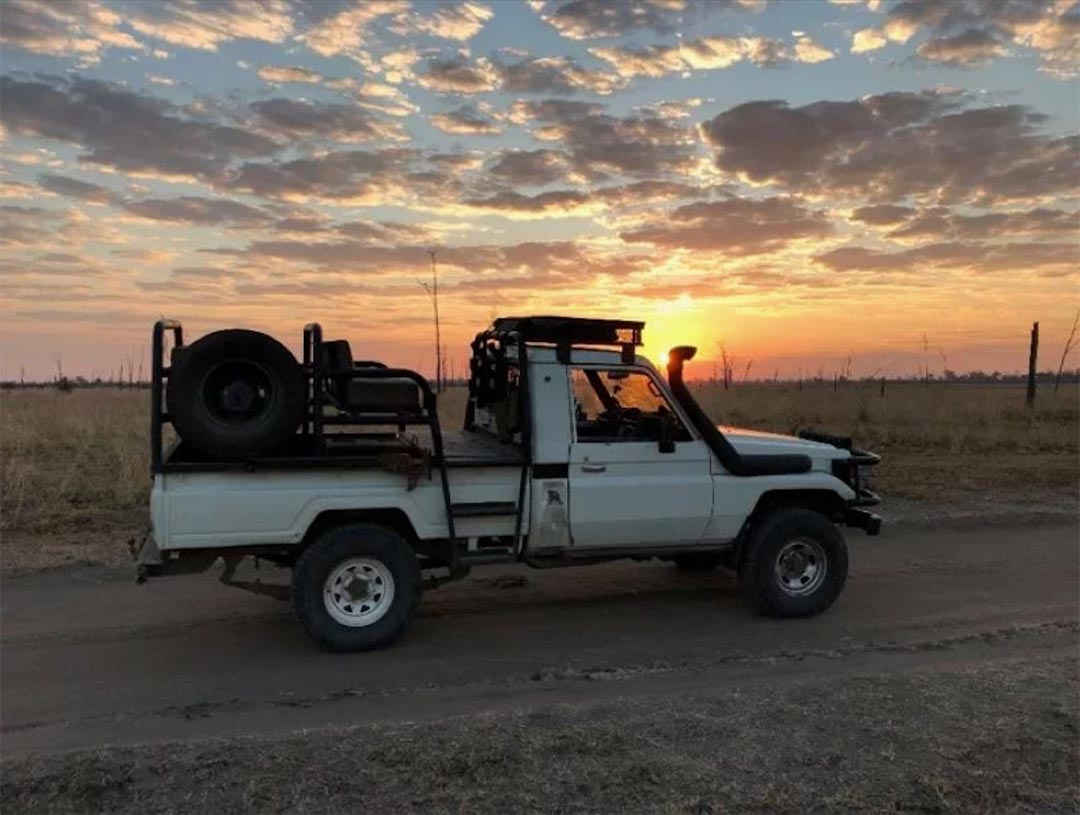 Leopard Hunting in Namibia & Brown Hyena Cancelation Hunt