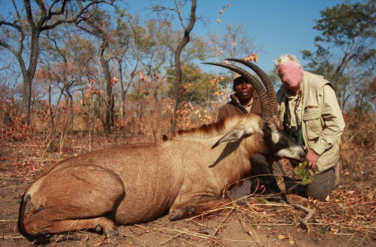 Leopard Hunting in Namibia & Brown Hyena Cancelation Hunt
