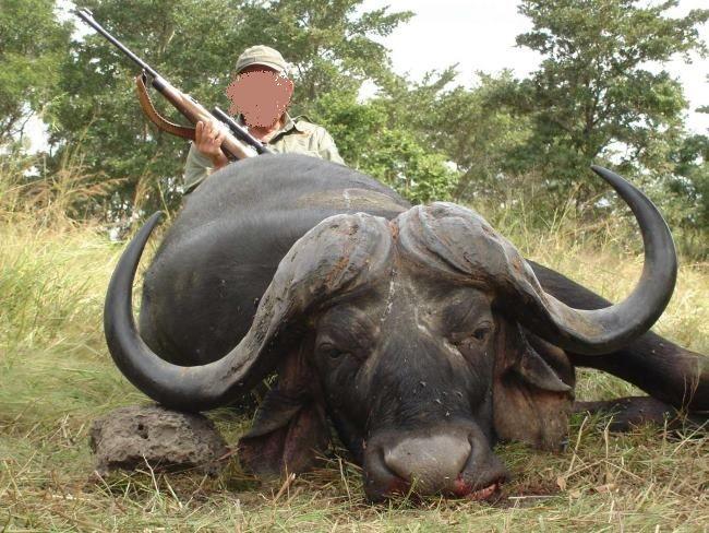 Hunt in Tanzania 2 x Cape Buffalo & Plains Game 2 x 1 Hunt