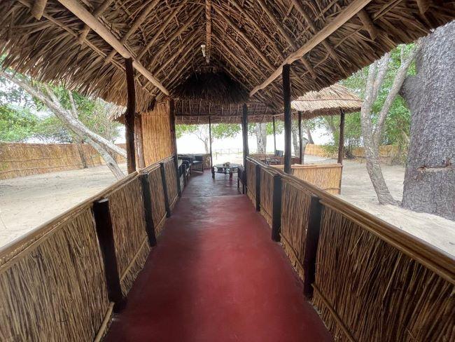 Leopard Hunting in Namibia & Brown Hyena Cancelation Hunt