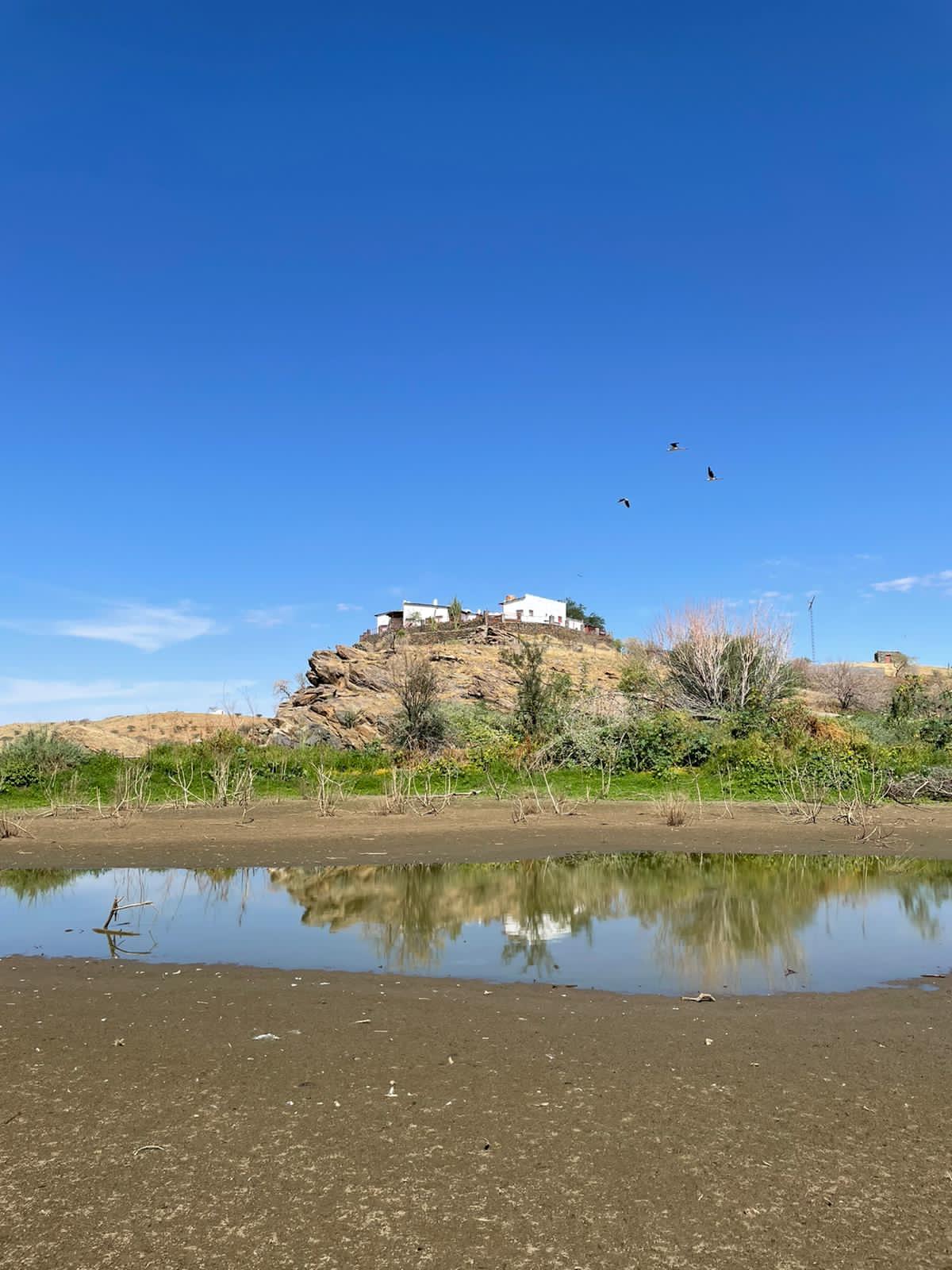 Leopard Hunting in Namibia & Brown Hyena Cancelation Hunt