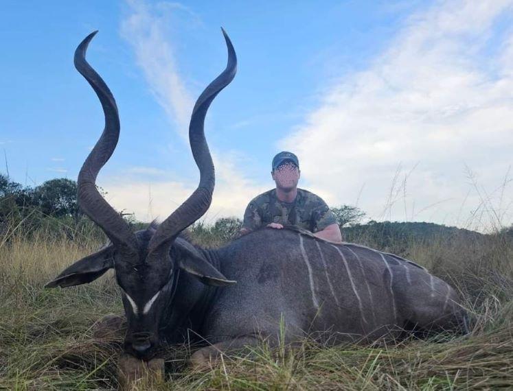 South African Plains Game Safari Trophy Nyala plus 5 Species