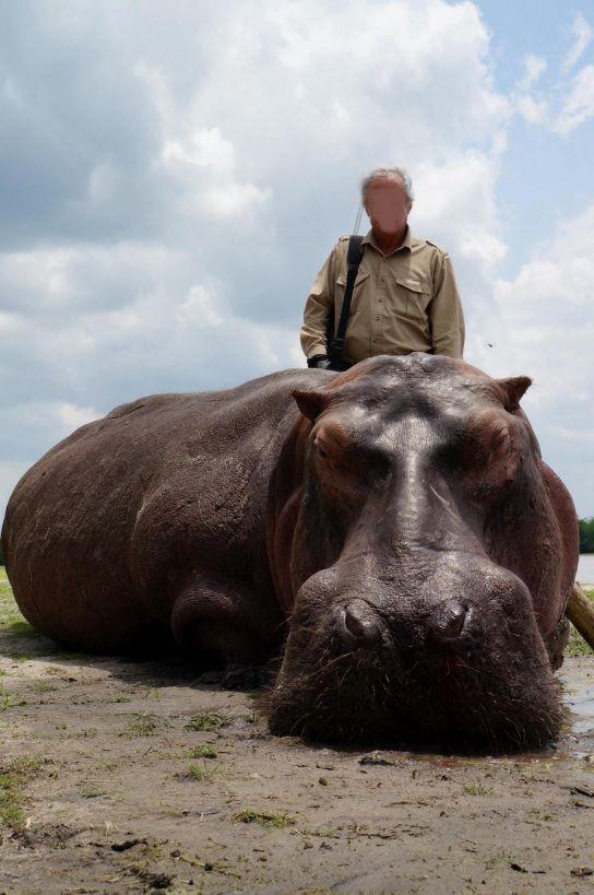 Hippo Hunting plus Lord Derby Eland 10 Days in the Savannah