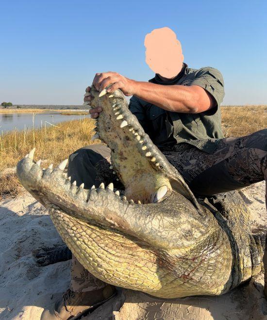 Trophy Crocodile Hunt, Zambezi Valley in Namibia  