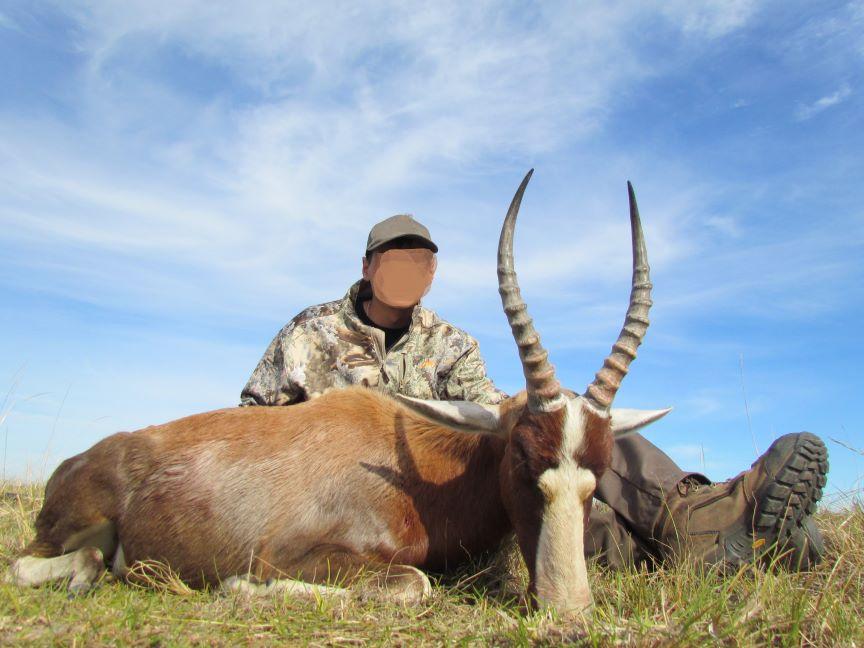 Leopard Hunting in Namibia & Brown Hyena Cancelation Hunt