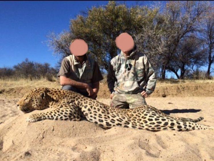 Leopard Hunting in Namibia & Brown Hyena Cancelation Hunt