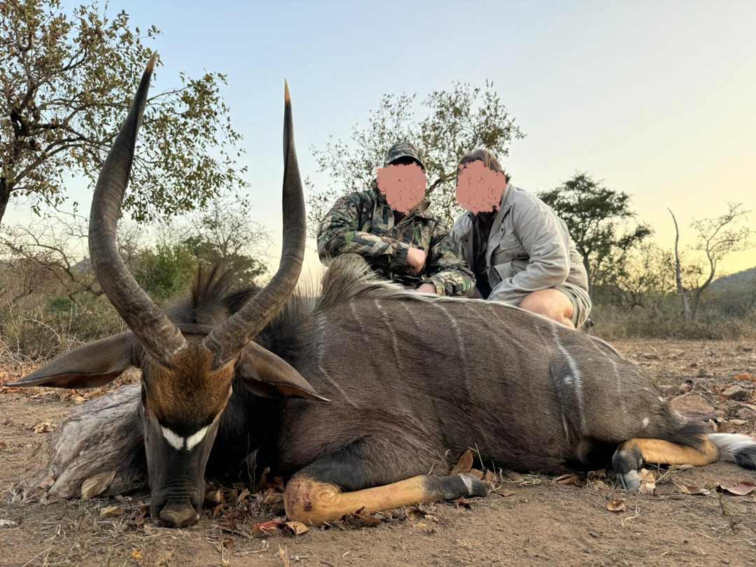 Hunting Safari in South Africa, Kudu and 6 x Animals