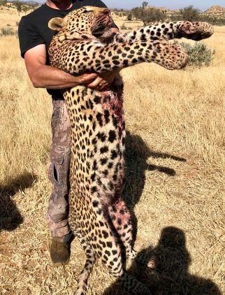 Leopard Hunting in Namibia & Brown Hyena Cancelation Hunt