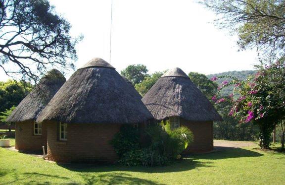 Leopard Hunting in Namibia & Brown Hyena Cancelation Hunt