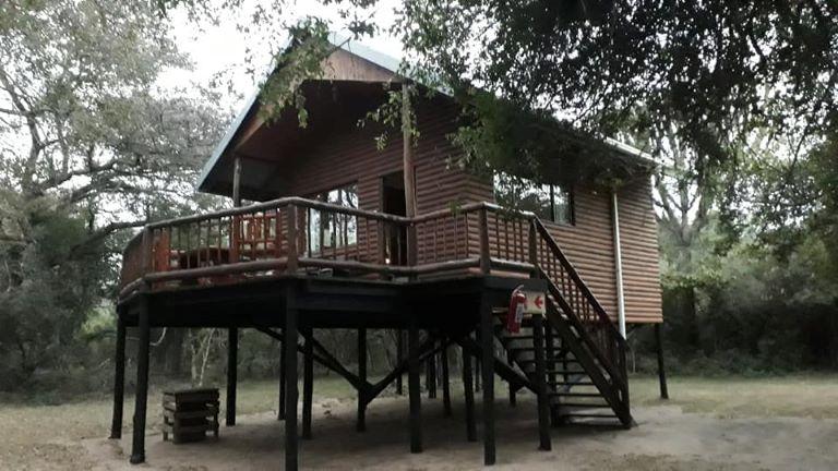 Leopard Hunting in Namibia & Brown Hyena Cancelation Hunt