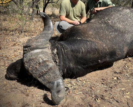 Leopard Hunting in Namibia & Brown Hyena Cancelation Hunt