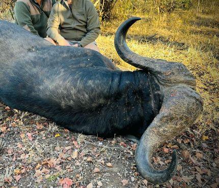 Leopard Hunting in Namibia & Brown Hyena Cancelation Hunt