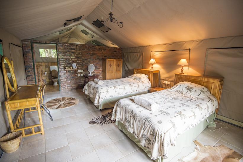 Leopard Hunting in Namibia & Brown Hyena Cancelation Hunt