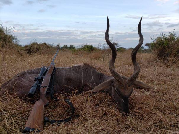 Leopard Hunting in Namibia & Brown Hyena Cancelation Hunt