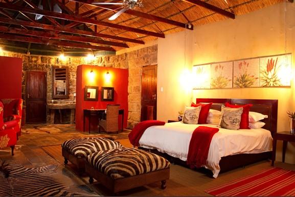 Leopard Hunting in Namibia & Brown Hyena Cancelation Hunt