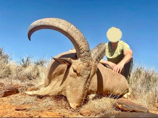 African Plains Game Hunt, 7 Nights in the Free State, SA