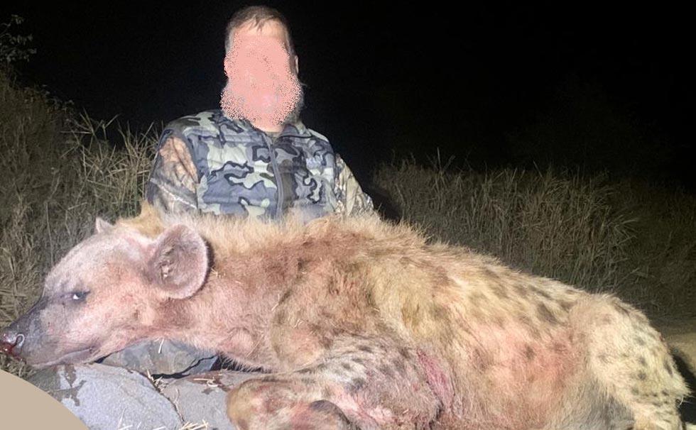 Hyena Hunting for 10 x Days in SA, plus 6 other Critters
