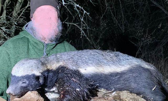 Leopard Hunting in Namibia & Brown Hyena Cancelation Hunt