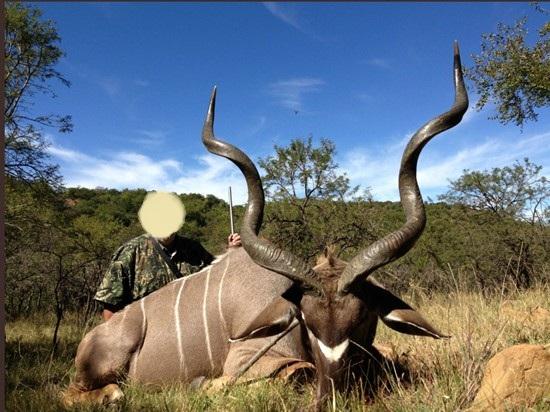 Plains Game Hunting in South Africa, Limpopo   