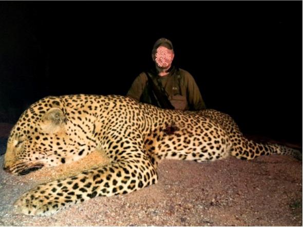 Leopard Hunting in Namibia & Brown Hyena Cancelation Hunt