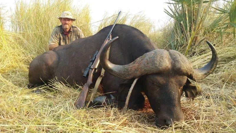Leopard & Cape Buffalo Hunt,14 days in Mozambique 1x Hunter