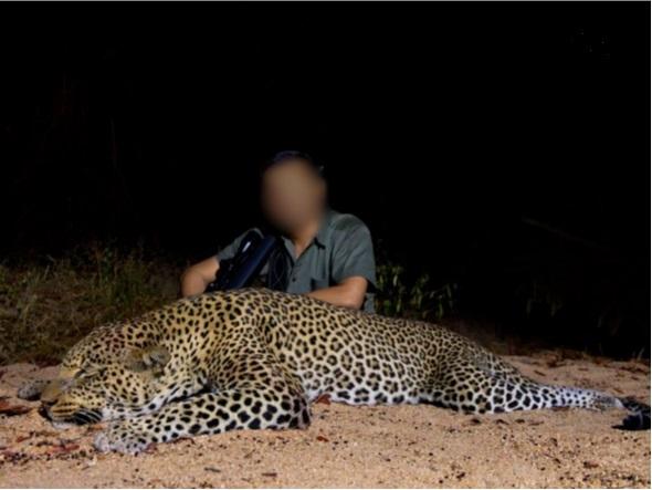 Leopard Hunting in Namibia & Brown Hyena Cancelation Hunt