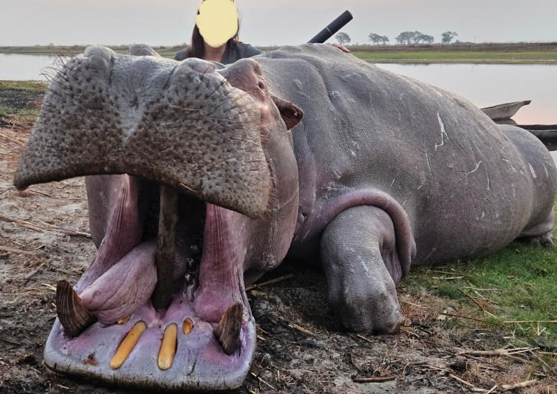 Leopard Hunting in Namibia & Brown Hyena Cancelation Hunt