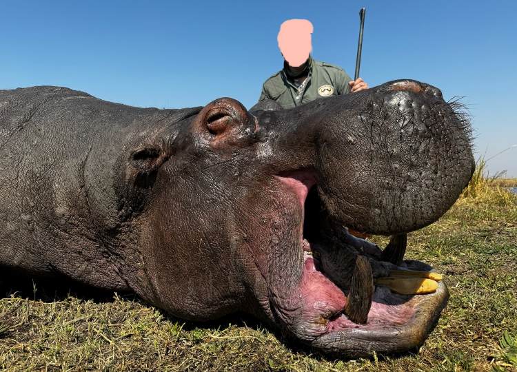 Leopard Hunting in Namibia & Brown Hyena Cancelation Hunt