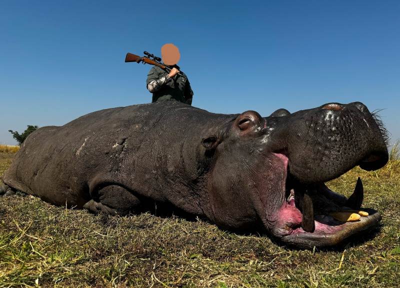 Leopard Hunting in Namibia & Brown Hyena Cancelation Hunt