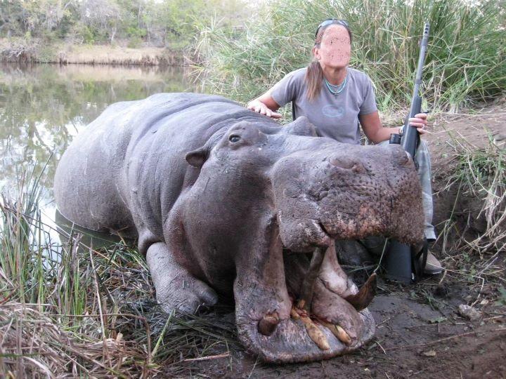 Leopard Hunting in Namibia & Brown Hyena Cancelation Hunt