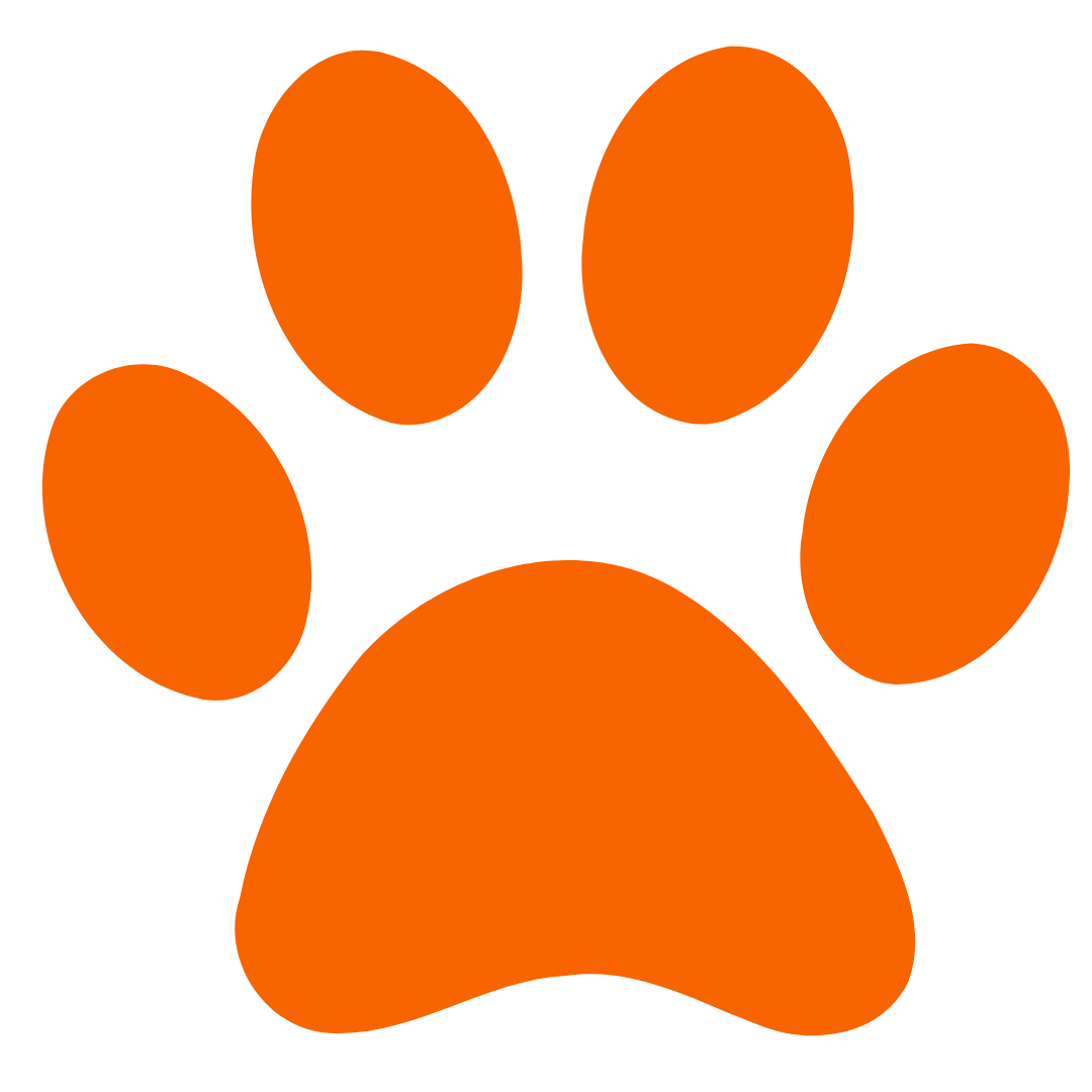 Register as an Outfitter - Game Hunting Safaris