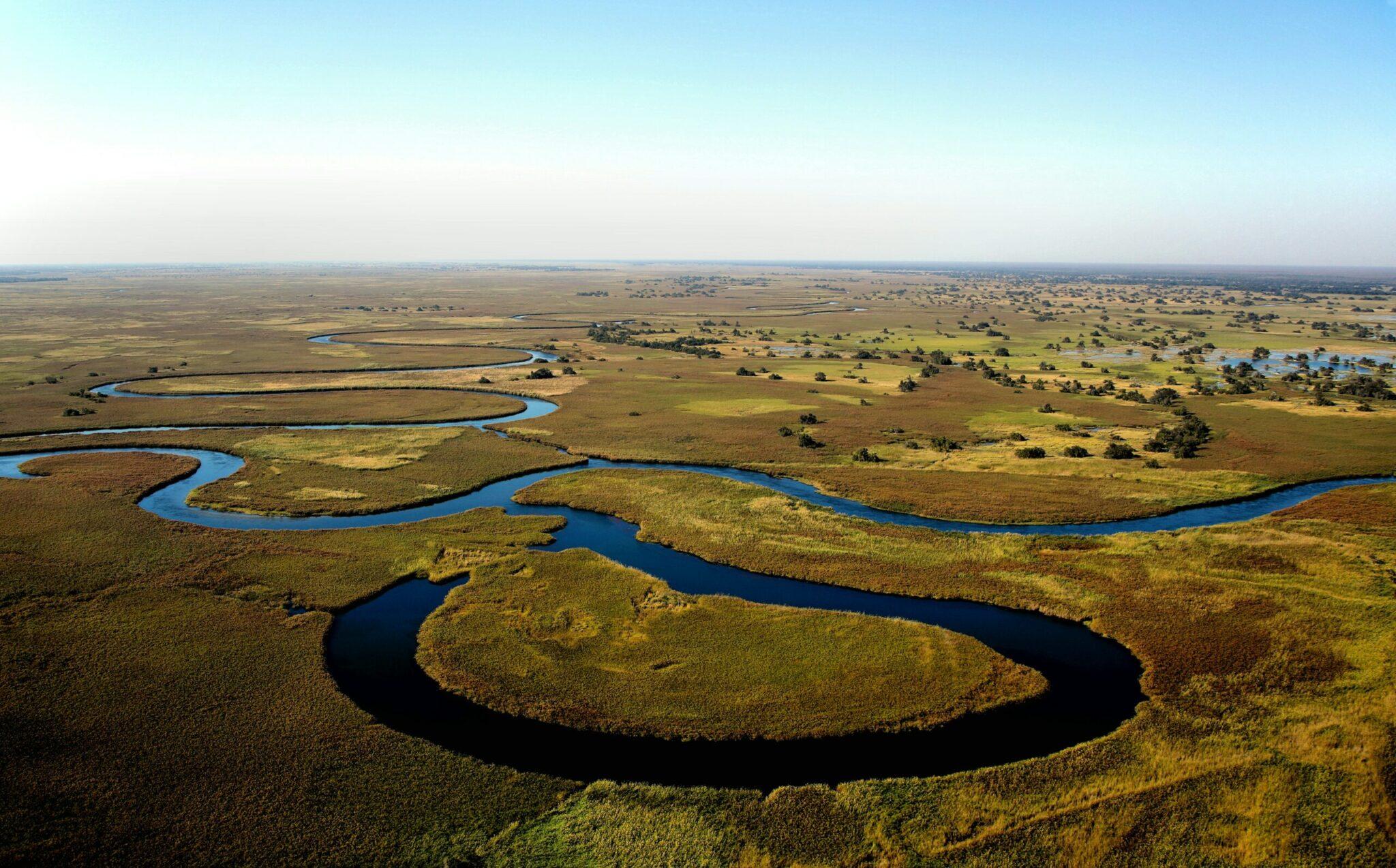Hunting Sable in botswana