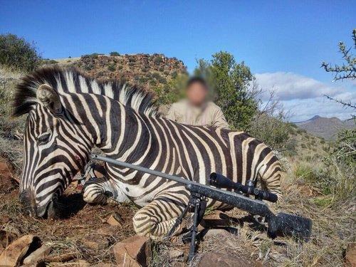 How Much Does a 10-Day African Hunting Safari Cost? Full Price Breakdown (2026)