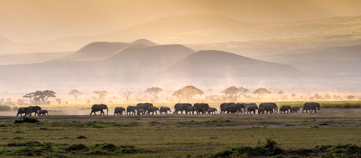 African Hunting Trips: Legends, Lore and Safari Stories
