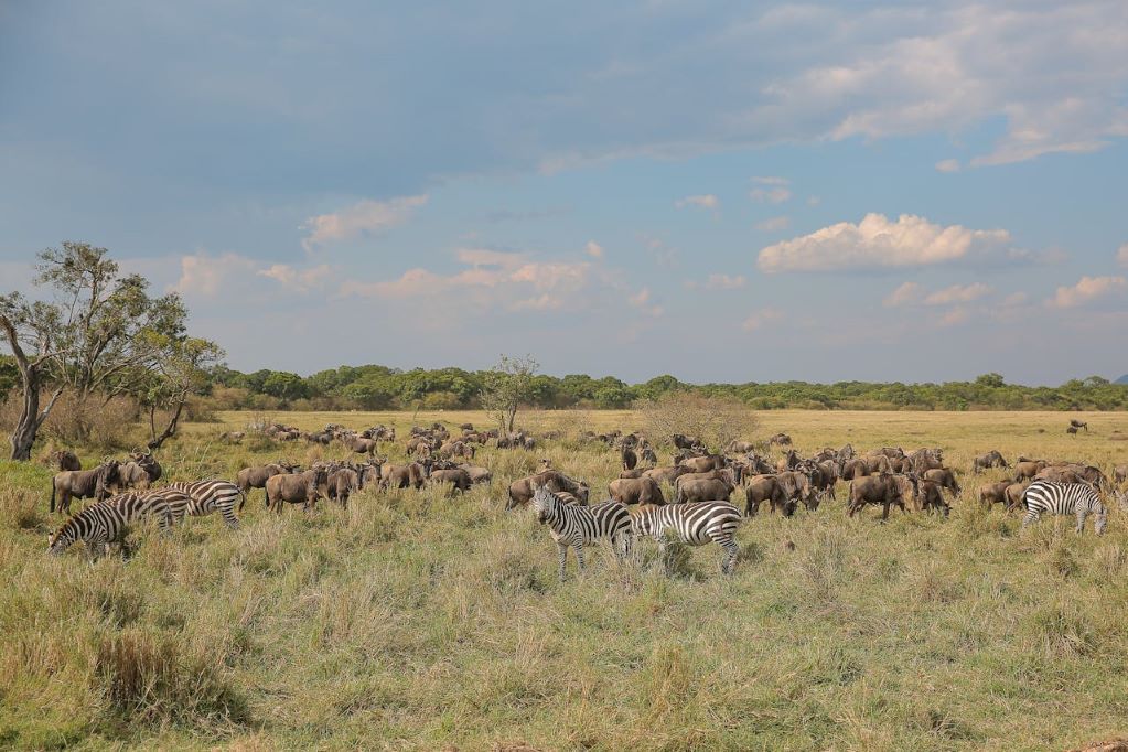 What To Pack On An Africa Safari Hunting Trip