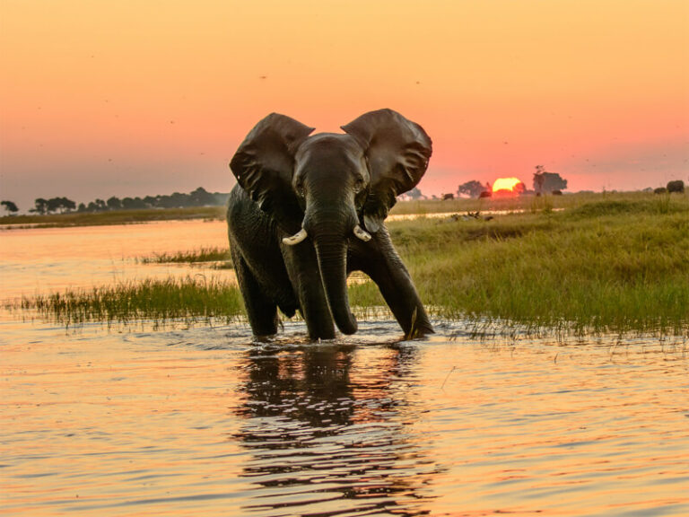 Preparing for Your First African Hunting Trip