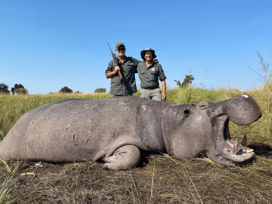 My Hippo Hunting Safari In Namibia