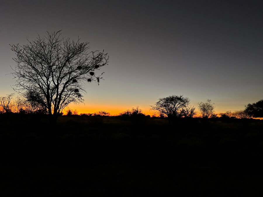 Kalahari Plains Game Hunting in South Africa: What to Expect